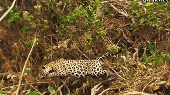 吃瓜爆笑君3,笑料横生，笑翻你的夏天！