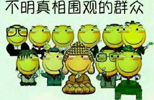 吃瓜群众类似音乐,跟随“吃瓜群众”的旋律，感受夏日欢歌