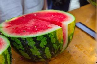 椰椰吃瓜,揭秘热带风情下的美食之旅