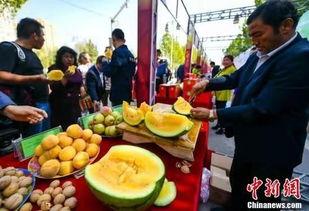 阿克苏阿瓦提县吃瓜,阿克苏阿瓦提县瓜果飘香之旅