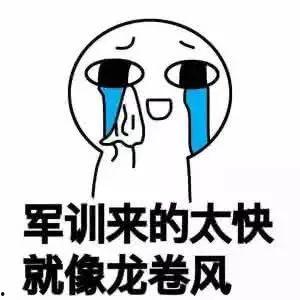 即将军训群众吃瓜,群众围观“吃瓜”盛况，揭秘新生军训幕后趣事