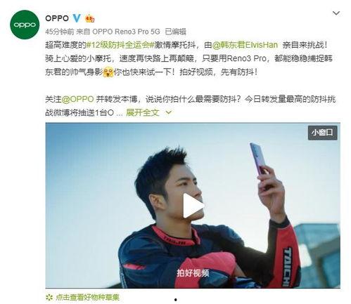 双人挑战吃瓜视频,甜蜜互动，瓜果飘香