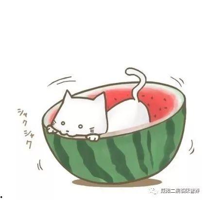 成人qq吃瓜群头像