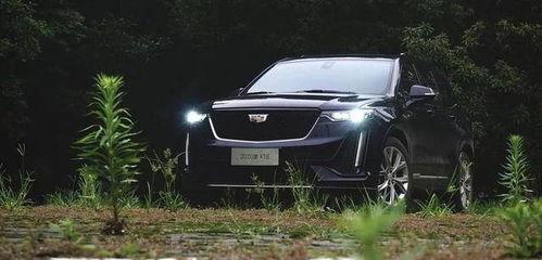 凯迪拉克吃瓜资源,解锁汽车娱乐新境界