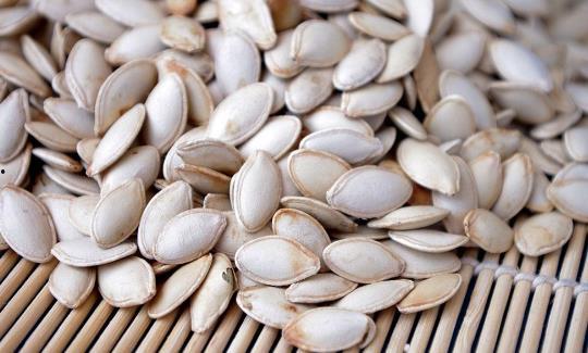 吃籽的角瓜种子,从种子到餐桌的蜕变