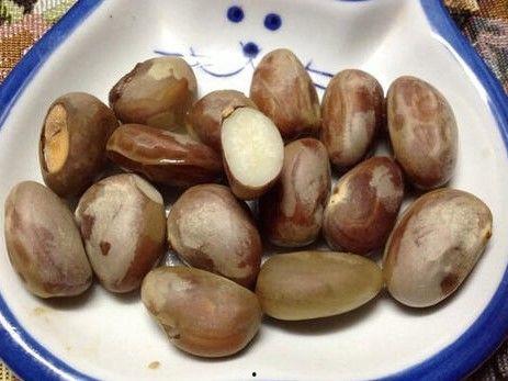 吃籽的角瓜种子,从种子到餐桌的蜕变