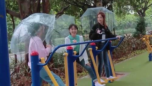 吃瓜漾漾,揭秘娱乐圈的甜蜜与苦涩