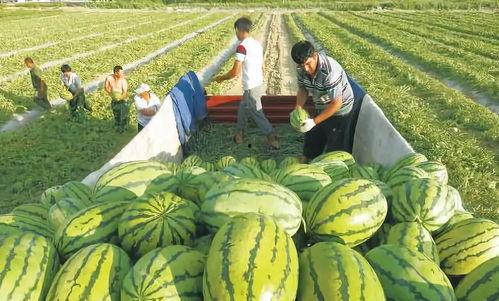 重庆疫情吃瓜图片,街头巷尾的防疫生活剪影