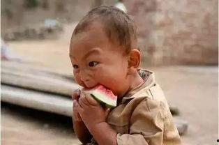 宝宝吃瓜视频全集,萌娃瓜趣大集合