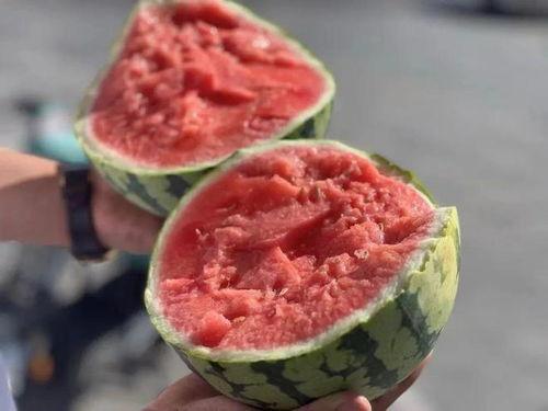 东北最新吃瓜,揭秘当地独特美食文化