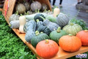 广州吃大瓜,大瓜盛宴，味蕾之旅