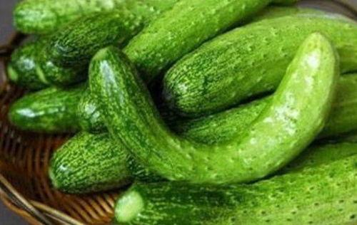 边吃瓜边溜达,夏日悠闲生活新风尚