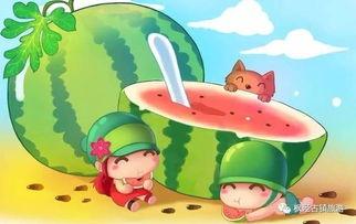 吃瓜 历险记,一场味蕾与冒险的奇幻之旅