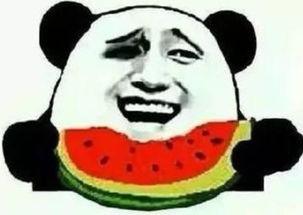 稳重吃瓜群众,揭秘网络舆论场的冷静观察者