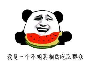 中国最牛吃瓜群众,揭秘网络舆论场中的“瓜王”传奇
