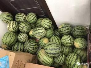 昌瑞吃瓜视频,揭秘娱乐圈幕后故事