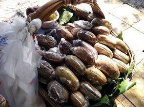 贵阳最新吃瓜,揭秘网络热议背后的真相