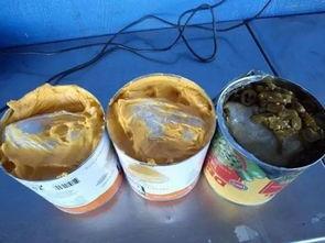 罐头厂有瓜吃,瓜果飘香，共享丰收喜悦