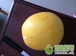 宝宝可以吃太阳瓜吗,营养与适宜性分析