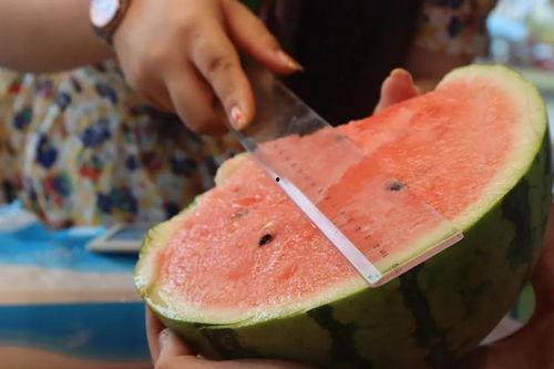 吃瓜直播芭蕉心,揭秘网红背后的真实情感世界