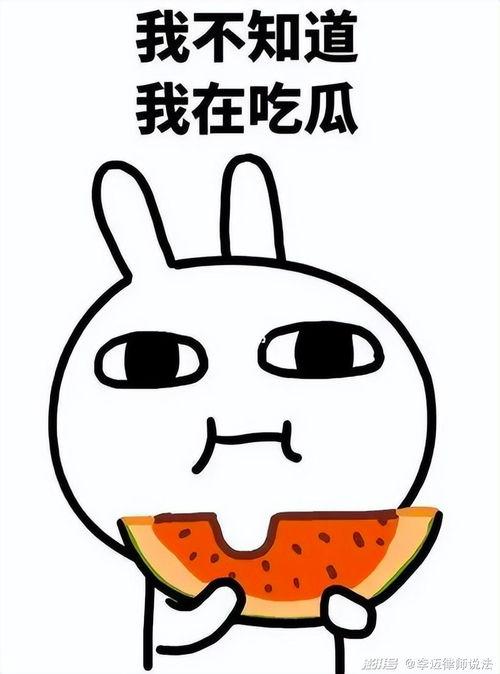 吃拼音瓜怎么写,拼音瓜的趣味探索之旅