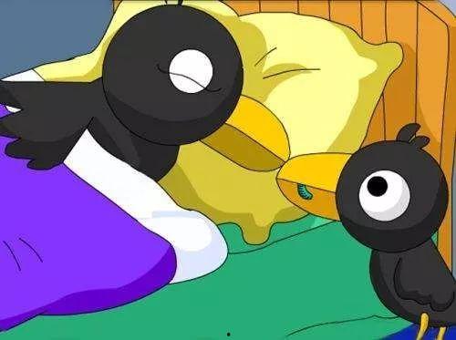 小乌鸦吃瓜,一场生态与成长的奇妙之旅