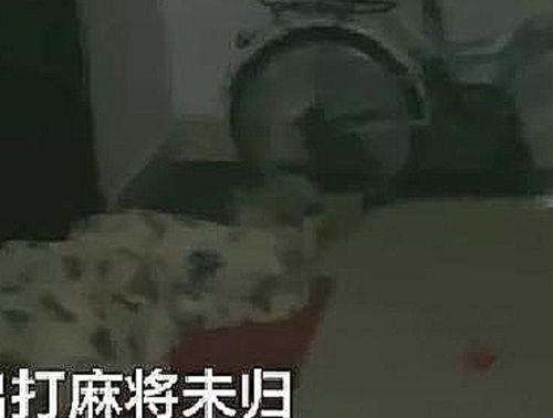 怀化吃瓜事件视频,一场网络热议背后的真相揭秘