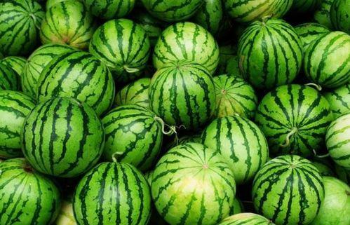 吃四瓜对,揭秘夏日消暑养生的四大秘籍  第2张