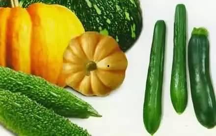 吃瓜的岑岑 第2张 吃瓜的岑岑 第2张