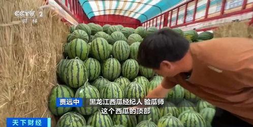 赛格广场吃瓜 第3张 赛格广场吃瓜 第3张