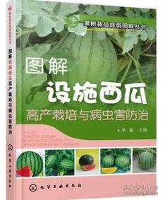 瓜哥吃瓜毒教材,一场关于教育真相的深度探讨