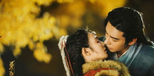 吃瓜 岱岱 东宫,岱岱与东宫的精彩对决