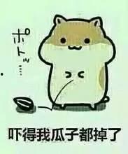 吃瓜视频看戏榜,揭秘热门话题背后的娱乐风云 第2张 吃瓜视频看戏榜,揭秘热门话题背后的娱乐风云 第2张