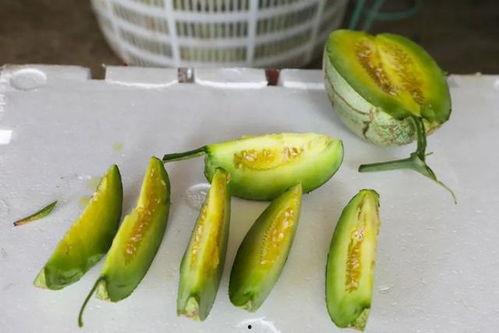 辽宁玉瓜怎么吃