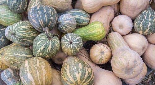 安铺女吃瓜,揭秘网络热议背后的真相与趣味  第1张