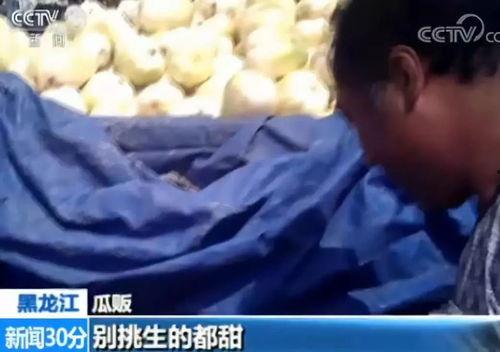 吃瓜人视频,一场视觉盛宴背后的故事  第2张