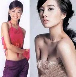 哪里可以吃明星瓜,明星美食之旅，哪里可以吃尽明星瓜  第3张