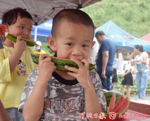 上朝吃瓜在哪里看,网络热词背后的文化现象与传播路径  第2张