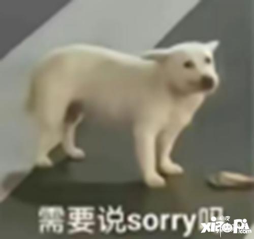 吃大瓜睡不着  第3张