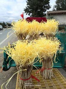 新疆籽瓜怎么吃,解锁美味新体验  第3张