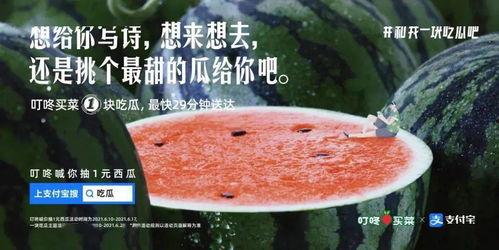 最近的吃瓜文案,揭秘明星们的幕后故事