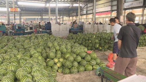 吃瓜机型,探索新一代智能终端的趣味与实用  第2张