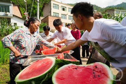 吃瓜不怕美国热闹,吃瓜群众眼中的热闹世界  第3张