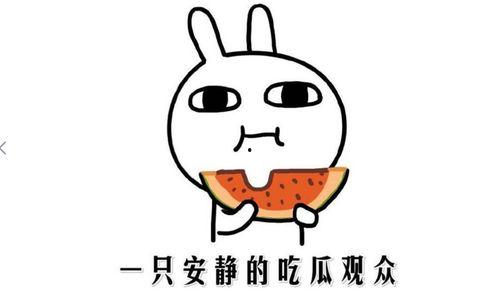 吃瓜就爱吃瓜什么意思,揭秘“吃瓜就爱吃瓜”的趣味内涵